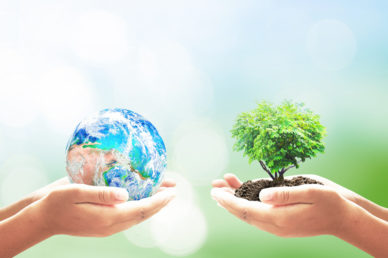 Earth and plant in hands