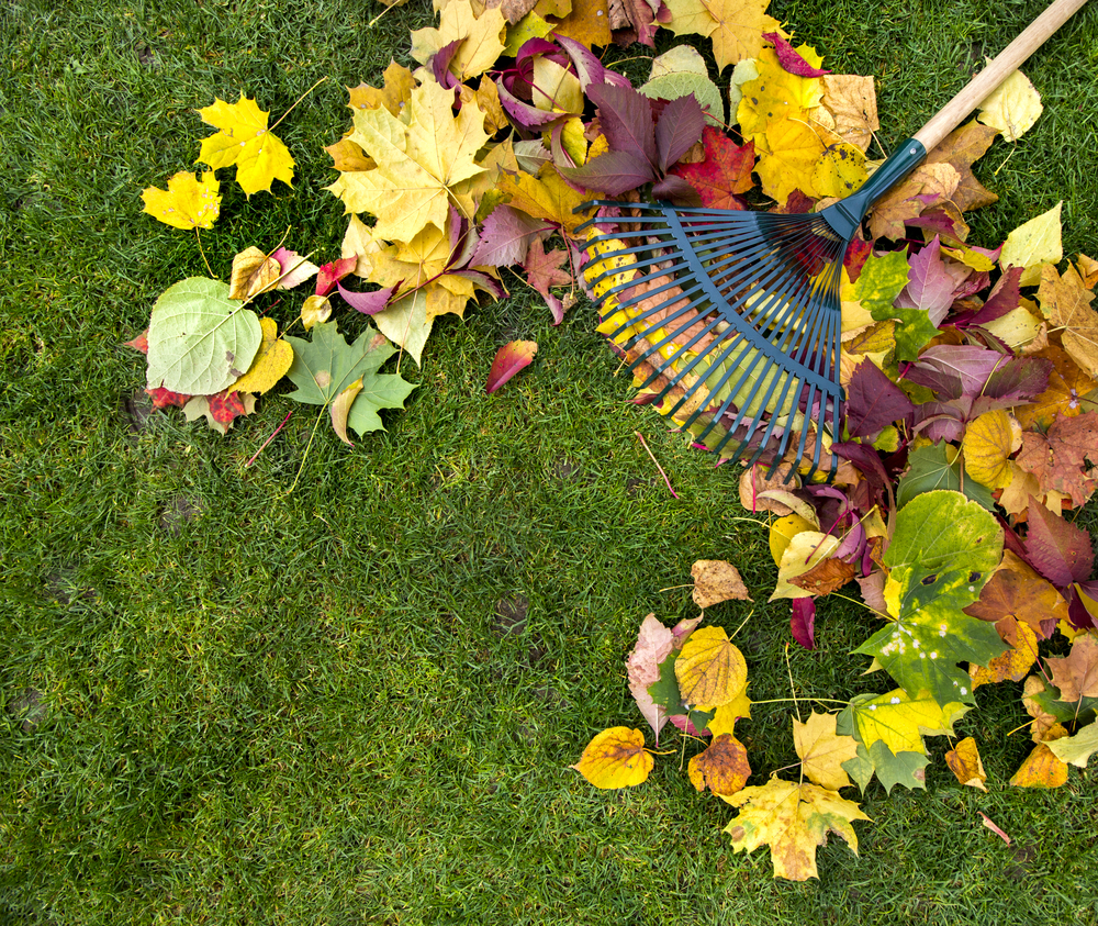fall-cleanup-goes-beyond-raking-the-leaves-clothingdonations